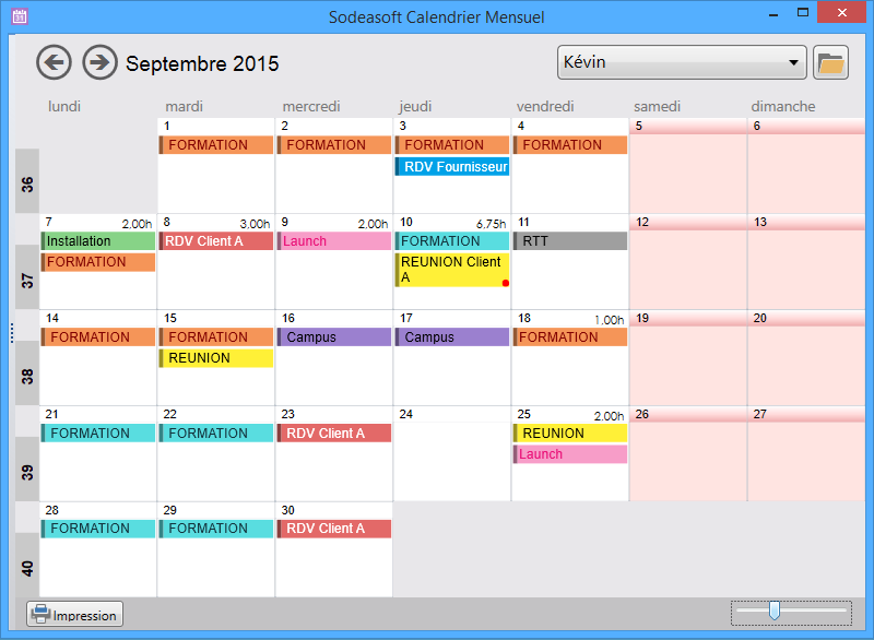 Planning Pro - Visualisation du calendrier mensuel