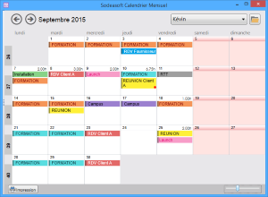 Planning Pro - Visualisation du calendrier mensuel